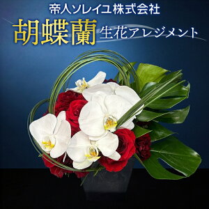 yӂ邳Ɣ[Łzyl\Cz055iRjӒ@ԃAWg