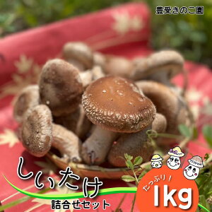 yӂ邳Ɣ[ŁzyL󂫂̂zlߍ킹Zbg