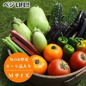 【ふるさと納税】野菜 おまかせ 旬の野菜セット Mサイズ (約8～9品)