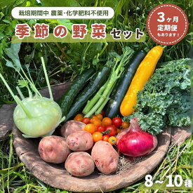 【ふるさと納税】定期便 単発 野菜 おまかせ 季節の野菜セット (8~10種) 選べる