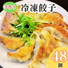 【ふるさと納税】手作り冷凍餃子48個入り