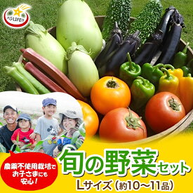 【ふるさと納税】旬の野菜セット Lサイズ 約10~11品 季節の野菜 野菜 詰合せ 農薬不使用 新鮮 鮮度 産地直送 農業 土 料理 甘い 美味しい 採れたて トマト 新玉ねぎ じゃがいも キャベツ 白菜 お取り寄せ 春 夏 秋 冬 ベジライフ 千葉県我孫子市