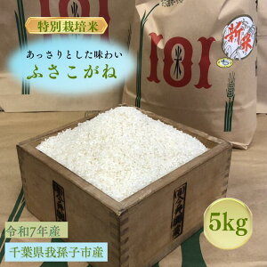 yӂ邳Ɣ[Łzt@䑷qsY@ā@ӂˁ@5kg