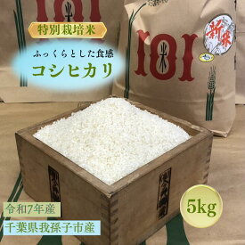 【ふるさと納税】千葉県　我孫子市産　精米　コシヒカリ　5kg