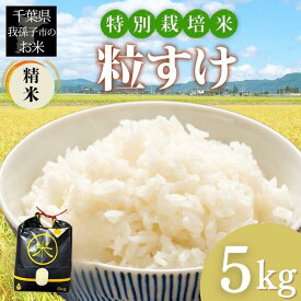 【ふるさと納税】千葉県 我孫子市産 特別栽培米 精米 粒すけ 5kg コスパ 数量限定