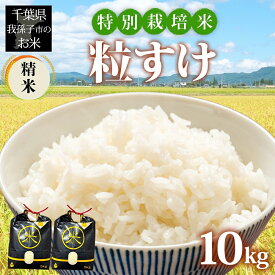 【ふるさと納税】農家直送 千葉県産 特別栽培米 粒すけ 10kg 5kg×2 精米 米 白米 ごはん お米 ライス ブランド米 ご飯 和食 お弁当 おにぎり 甘い 国産 コメ おかず お取り寄せ 送料無料 千葉県 我孫子市