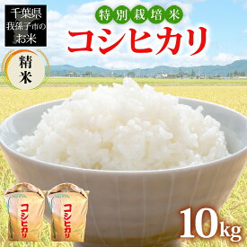 【ふるさと納税】農家直送 千葉県産 特別栽培米 こしひかり 10kg 5kg×2 精米 米 白米 ごはん お米 ライス ブランド米 ご飯 和食 お弁当 おにぎり 甘い 国産 コメ おかず お取り寄せ 送料無料 千葉県 我孫子市 数量限定 コスパ