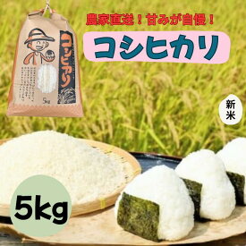 【ふるさと納税】 千葉・我孫子の農家直送！ふっくら甘み自慢の新米コシヒカリ5kg 精米 米 白米 ごはん お米 ライス ブランド米 ご飯 和食 お弁当 おにぎり 甘い 国産 コメ おかず 備蓄 お取り寄せ 送料無料 千葉県 我孫子市
