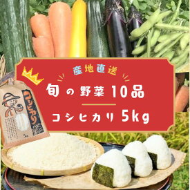 【ふるさと納税】 【数量限定】千葉・我孫子の農家直送コシヒカリ＆旬の野菜たっぷり10品 精米 米 白米 ごはん お米 ライス ブランド米 ご飯 和食 お弁当 おにぎり 甘い 国産 コメ おかず 備蓄 野菜セット　農家直送　お取り寄せ 送料無料 千葉県 我孫子市