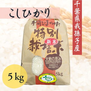 yӂ邳Ɣ[Łz䑷qYRVqJ3A5kg