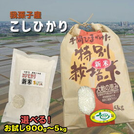 【ふるさと納税】我孫子産コシヒカリお試し900g、5kg 我孫子産 千葉県 特別栽培米 5000円以下 コスパ