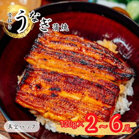 【ふるさと納税】骨抜き鰻蒲焼2〜6尾（真空パック） 丑の日 炭火 鰻 ウナギ ギフト 真空パック タレ 山椒 冷凍 贈り物 プレゼント お祝い お取り寄せ ギフト 送料無料 我孫子市 千葉県