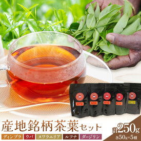 【ふるさと納税】産地銘柄茶葉セット ディンブラ ウバ ヌワラエリア ルフナ ダージリン 各50g セイロン紅茶専門店 MISTYWICK有限会社《30日以内に出荷予定(土日祝除く)》ミスティーウィック 千葉県 我孫子市 紅茶 茶葉 厳選 ギフト 贈り物