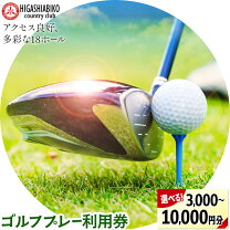 楽天市場】ゴルフ 利用券の通販