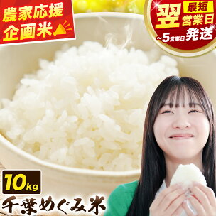 農家応援企画 千葉県産 千葉めぐみ米 10kg《選べる出荷...