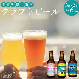 【ふるさと納税】【KAMOGAWA BREWERY】鴨川クラフトビール 3種6本　[0012-0033]