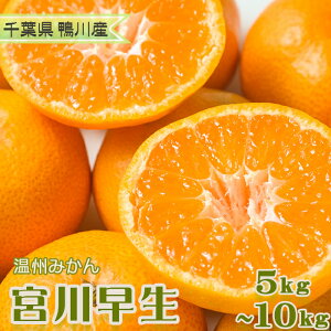 yӂ邳Ɣ[ŁzyʌEs\zÂ݂Ǝ_̐▭oXIB݂w{쑁x5kg@[0008-0045]