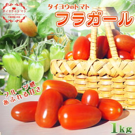 【ふるさと納税】【弾ける食感！フルーツ級の甘み！】タイヨウのトマト『フラガール』1kg　《配送期間限定》《2週間以内に発送》 ミニトマト フルーツトマト [日本ソーラー発電] [0008-0048]