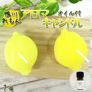 yӂ邳Ɣ[Łzyʌz샌 ÂA}Lh 1  A}IC5ml [0010-0222]