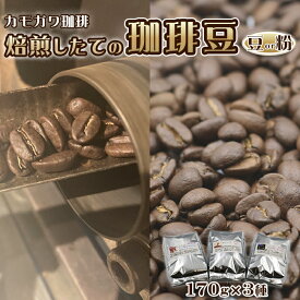 【ふるさと納税】【カモガワ珈琲】焙煎したてのコーヒー豆 3種（170g×3袋）《豆》《粉》　[0016-0022]