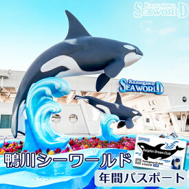 【ふるさと納税】鴨川シーワールド 年間パスポート 1名様（小人／幼児／大人／シニア）　[0043-0001]