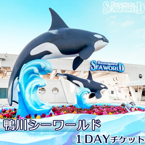 yӂ邳Ɣ[ŁzV[[h 1Day`Pbg 1ic^l^lj@[0012-0060]