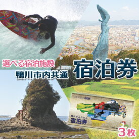 【ふるさと納税】【千葉県鴨川市】市内宿泊施設『共通宿泊券』3枚（3万円相当）　[0100-0026]