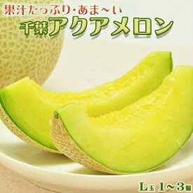 【ふるさと納税】【高橋メロン農園】千葉アクアメロン L玉以上 × 1～3個　[0010-0097]