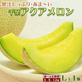 【ふるさと納税】【定期便】高橋メロン農園『千葉アクアメロン』L玉以上 1個 × 3回/5回/12回発送　[0030-0061]