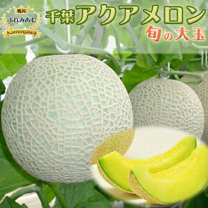 yӂ邳Ɣ[Łzyߘa8N5^s\zՂ݂ށwtANAx{̑ 1@[0010-0213]