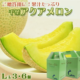 【ふるさと納税】【ご贈答に！】高級マスクメロン『千葉アクアメロン』L玉以上 × 3個／6個　[0033-0011]