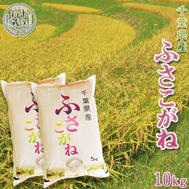 【ふるさと納税】【米屋新蔵】千葉県産『ふさこがね』10kg [0012-0032]