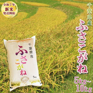 yӂ邳Ɣ[Łzsߘa7NY VātyĉVză\GI tYwӂˁx5kg^10kg@[0013-0049]