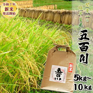 yӂ邳Ɣ[Łzsߘa7NY VātyĉVz֓̋ɑāwܕSx5kg^10kg@[0016-0026]