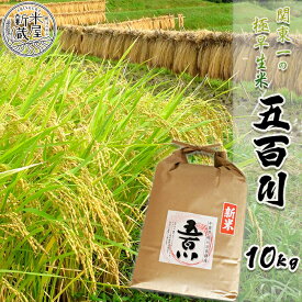 【ふるさと納税】【米屋新蔵】関東一の極早生米『五百川』10kg　[0017-0016]