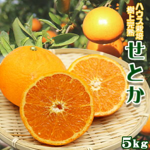yӂ邳Ɣ[ŁzyʌEs\zĎ㊮nIwƂx5kgsDi^󂠂t@[0017-0017]