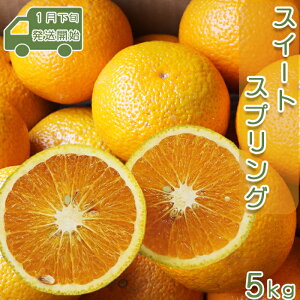 yӂ邳Ɣ[Łzys\Eʌz|wXC[gXvOx 5kgi20`25j@[0010-0210]