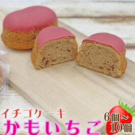 【ふるさと納税】【中島屋菓子店】イチゴケーキ「かもいちご」 6個～10個　[0010-0313]