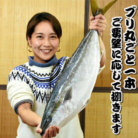 【ふるさと納税】いずみや鮮魚店のブリ丸ごと一本 [0050-0049]