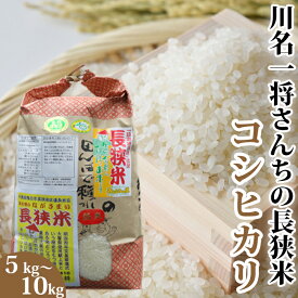 【ふるさと納税】【令和7年産】川名一将さんちの長狭米 コシヒカリ5kg～10kg（精米・玄米）　[0015-0066]
