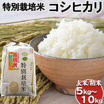 楽天市場】長狭米 玄米の通販