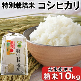 【ふるさと納税】【令和5年産】川名一将さんちの長狭米 特別栽培米コシヒカリ10kg ※精米・玄米選択可能 [0020-0055]