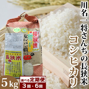 yӂ邳Ɣ[Łzyցz얼ꏫ񂿂̒ RVqJ5kg×3/6 [0045-0006]