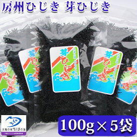 【ふるさと納税】房州ひじき 芽ひじき 100g×5袋[0010-0365]