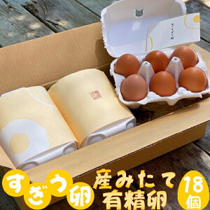 yӂ邳Ɣ[Łz̖ǎL18 [0011-0049]