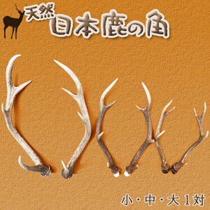 yӂ邳Ɣ[ŁzVR@{̊p ΁iF40cm^F50cm^F60cmjyH|EǏɁz@[0020-0068]