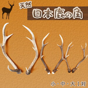 yӂ邳Ɣ[Łzy[WrGNtgzH|EǏpVRfށw{̊p ΁xiF40cm^F50cm^F60cmj@[0020-0068]