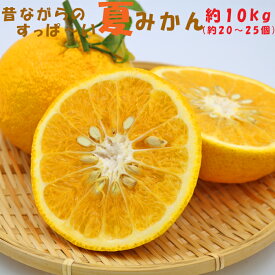 【ふるさと納税】【旬の柑橘】フレッシュですっぱ〜い夏みかん 約10kg [0008-0029]