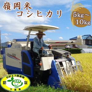 yӂ邳Ɣ[Łzyߘa7NYzt@[̗䉪āuRVqJv5kg^10kg@[0017-0025]