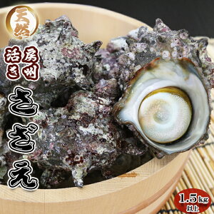 yӂ邳Ɣ[Łzszt ߘa7N11܂ŁtyIzsʌtVR w[BTUGx 1.5kgȏi8`12j@[0015-0051]